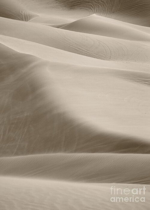 Sand Dunes Greeting Card featuring the photograph A Soft Oasis by Suzanne Oesterling