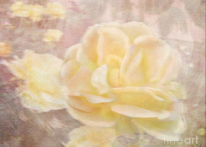 A Softer Rose Greeting Card featuring the photograph A Softer Rose by Victoria Harrington