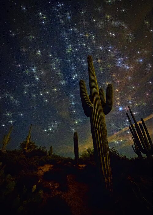 Night Skies Greeting Card featuring the photograph A Starry Desert Evening by Saija Lehtonen