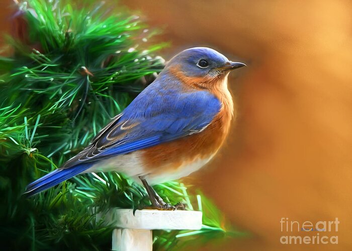 Bluebird Greeting Card featuring the photograph A Still Moment by Tina LeCour