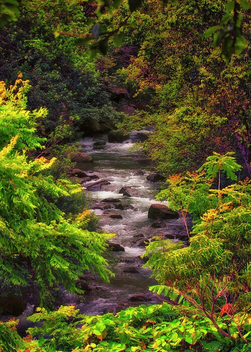 Akaka Falls Greeting Card featuring the photograph A Stream Runs Through It by Linda Tiepelman