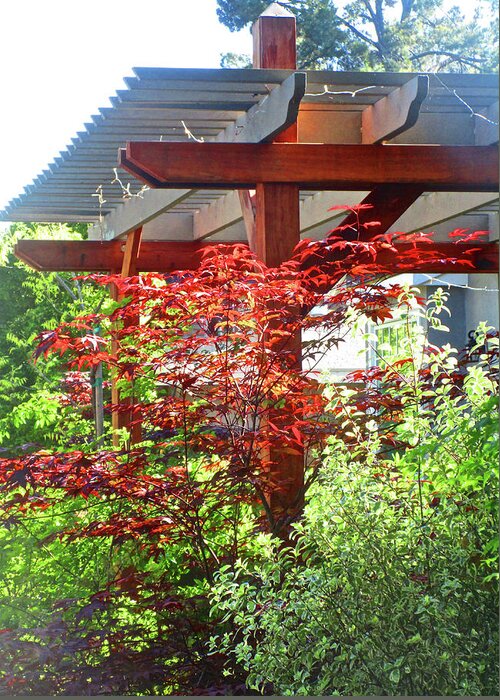 Touch Of Japan Greeting Card featuring the photograph A Touch of Japan in Old Menlo Park 2017 001 by Michael Genevro