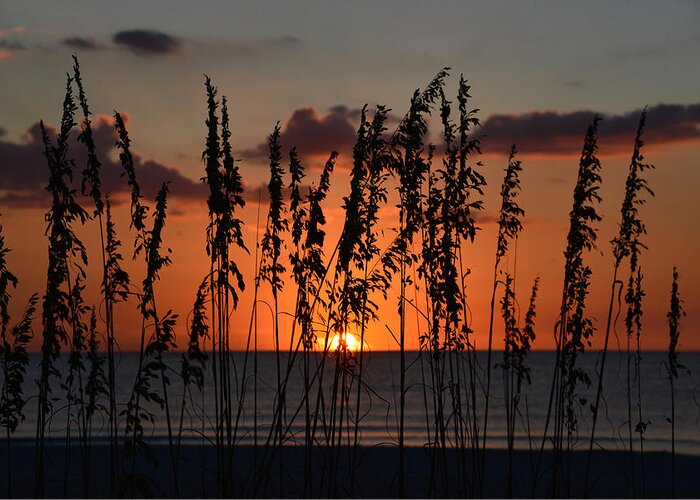 Florida Greeting Card featuring the photograph A Wild Florida Sunset by David Lee Thompson