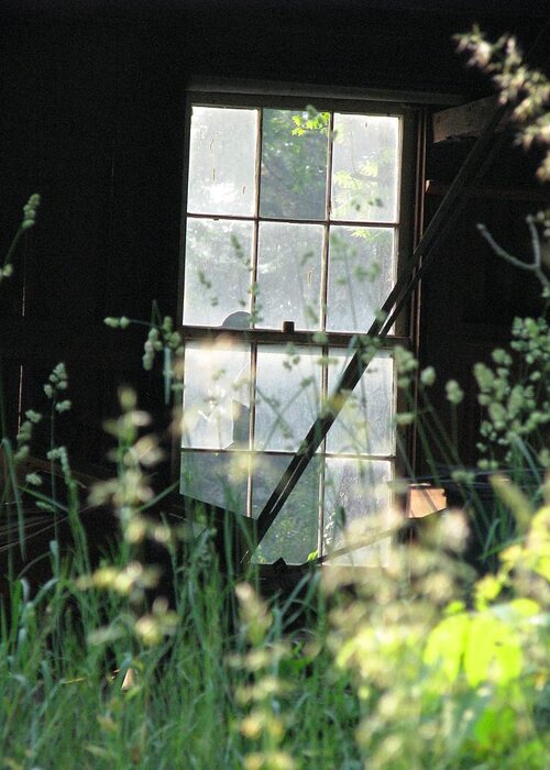 Broken Window Greeting Card featuring the photograph Abandoned by Angela Davies