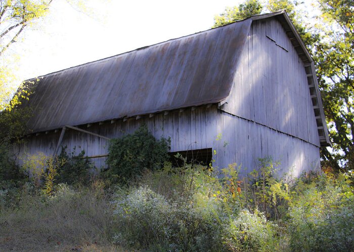 Barn Greeting Card featuring the photograph Abandoned Barn in Soft Light by Linda A Waterhouse