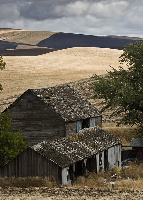 Barn Greeting Card featuring the photograph Abandoned Barn by Roger Mullenhour