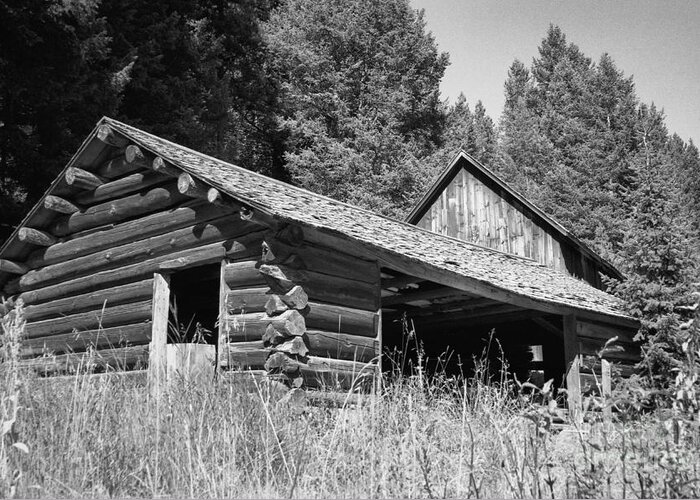 Cabin Greeting Card featuring the photograph Abandoned Homestead by Richard Rizzo