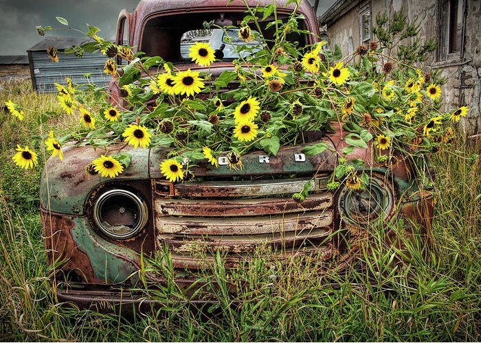 Art Greeting Card featuring the photograph Abandoned Old Ford Truck with Yellow Flowers in the Ghost Town by Okaton South Dakota by Randall Nyhof