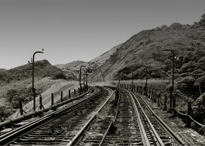 Abandoned Greeting Card featuring the photograph Abandoned Railroad by Amarildo Correa
