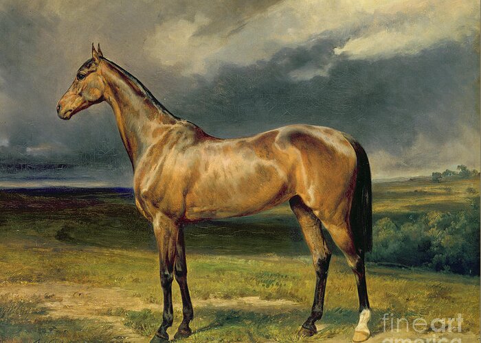 Equestrian; Portrait; Brown; Bay; Landscape; Horse Greeting Card featuring the painting Abdul Medschid the chestnut arab horse by Carl Constantin Steffeck