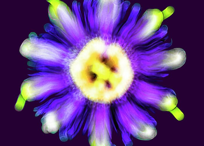 Abstract Greeting Card featuring the photograph Abstract Passion Flower in Violet Blue and Green 002p by Ricardos Creations