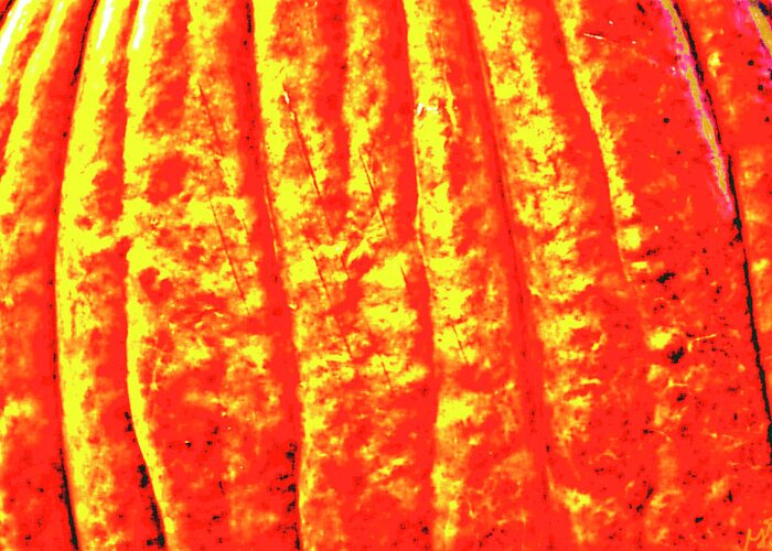 This Is An Abstract Fine Art Photograph Of Pumpkin Texture Shadows. The Photograph Was Taken In Rural Florida. Greeting Card featuring the photograph Abstract Pumpkin Shadows by Gina O'Brien