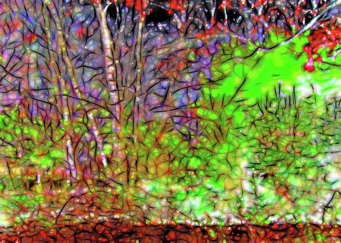 Trees Greeting Card featuring the photograph Abstract Sunlight on Trees by Gina O'Brien