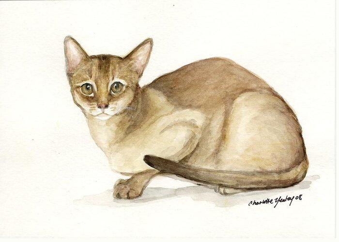 Cat Greeting Card featuring the painting Absyssinian Cat by Charlotte Yealey