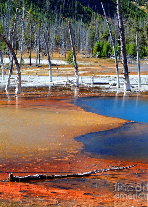 Diane Berry Greeting Card featuring the photograph Acid Soup Yellowstone by Diane E Berry