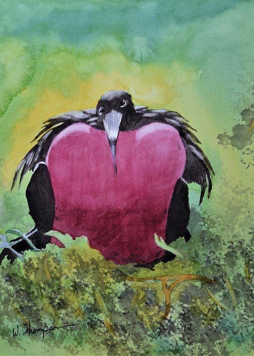 Adult Male Great Frigatebird Greeting Card featuring the painting Adult Male Great Frigatebird by Warren Thompson