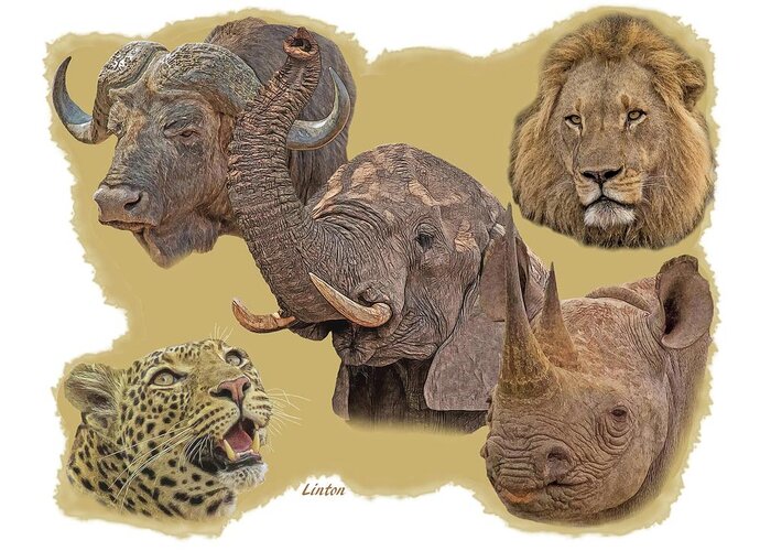 Five Greeting Card featuring the photograph African Big Five by Larry Linton