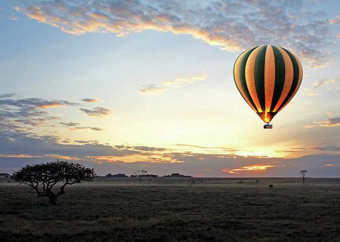 African Landscape Greeting Card featuring the photograph African Dawn With Hot Air Balloon by Gill Billington