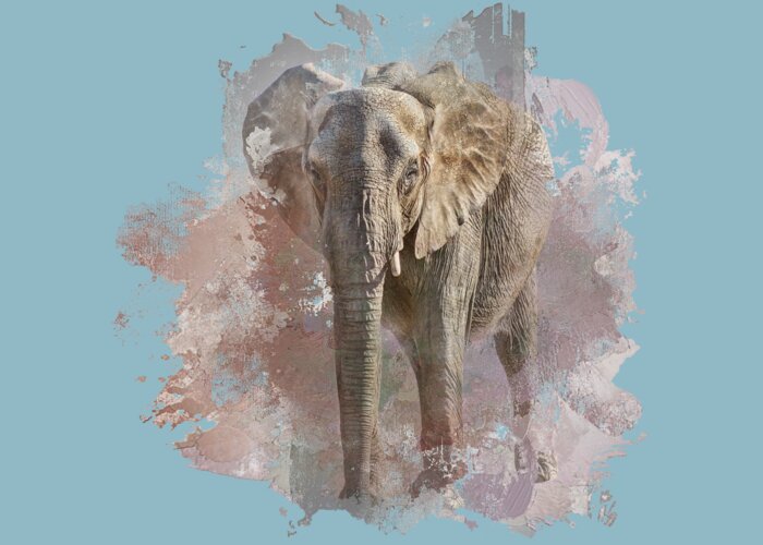 Animals Greeting Card featuring the photograph African Elephant - Transparent by Nikolyn McDonald