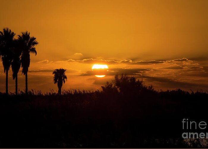 Sunset Greeting Card featuring the photograph African style sunset by Arik Baltinester