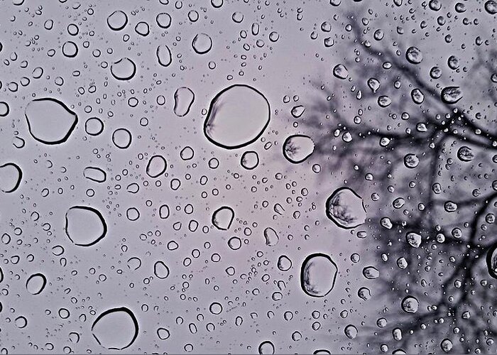 Water Droplets Greeting Card featuring the photograph After the Rain by Suzanne Stout