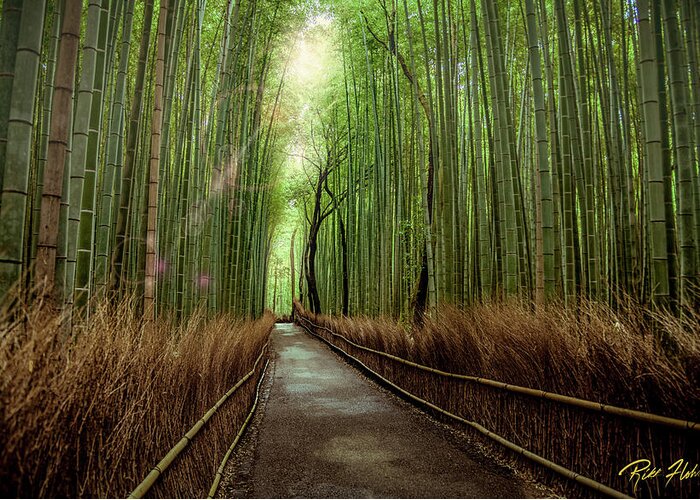 Bamboo Greeting Card featuring the photograph Afternoon in the Bamboo by Rikk Flohr