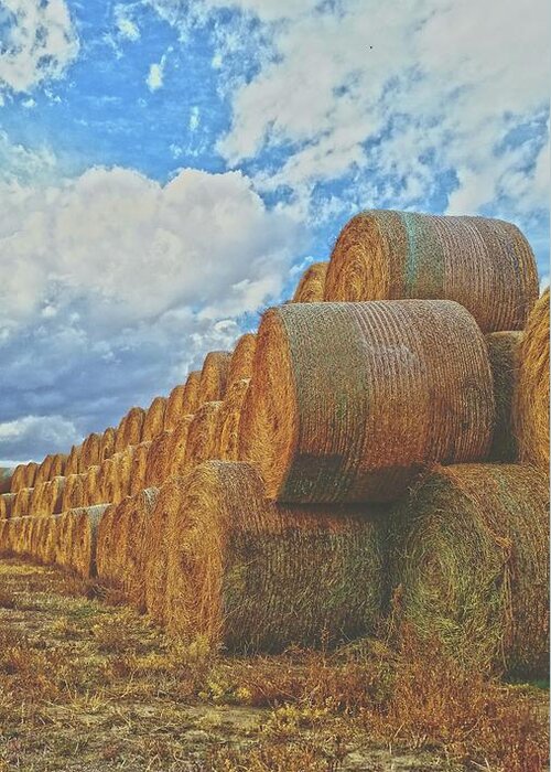 Hay Greeting Card featuring the photograph Afternoon Stack by Amanda Smith