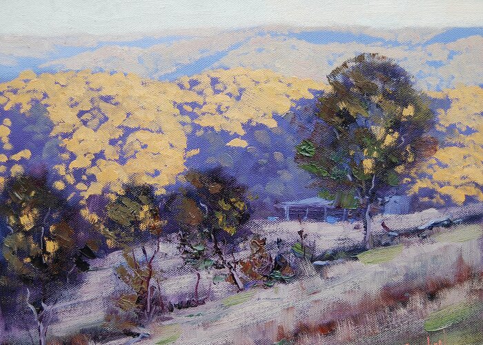 Nature Greeting Card featuring the painting Afternoon Sunlight Turon Australia by Graham Gercken