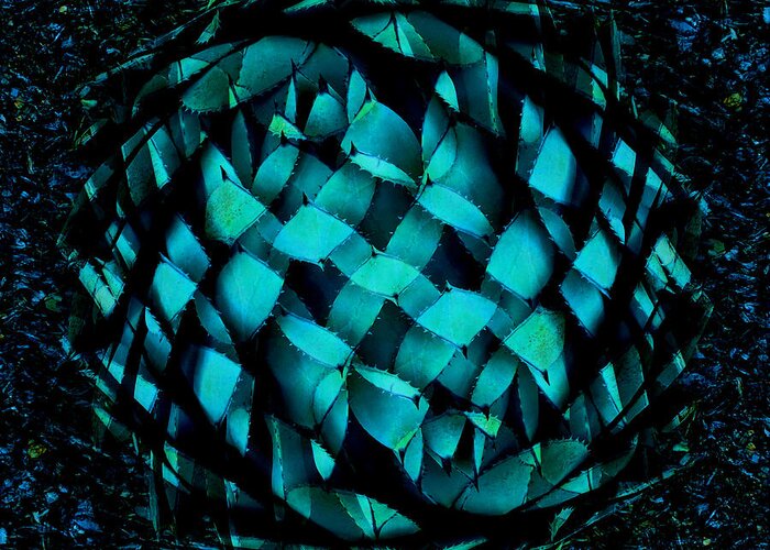 Nature Greeting Card featuring the photograph Agave Blues Abstract by Stephanie Grant