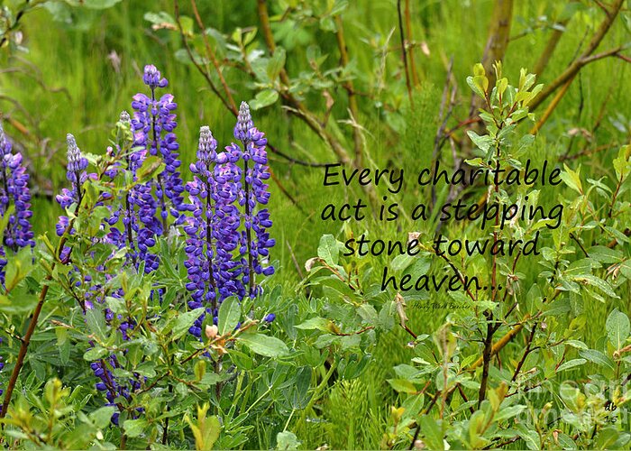 Diane Berry Greeting Card featuring the photograph Alaskan Lupine Heaven by Diane E Berry