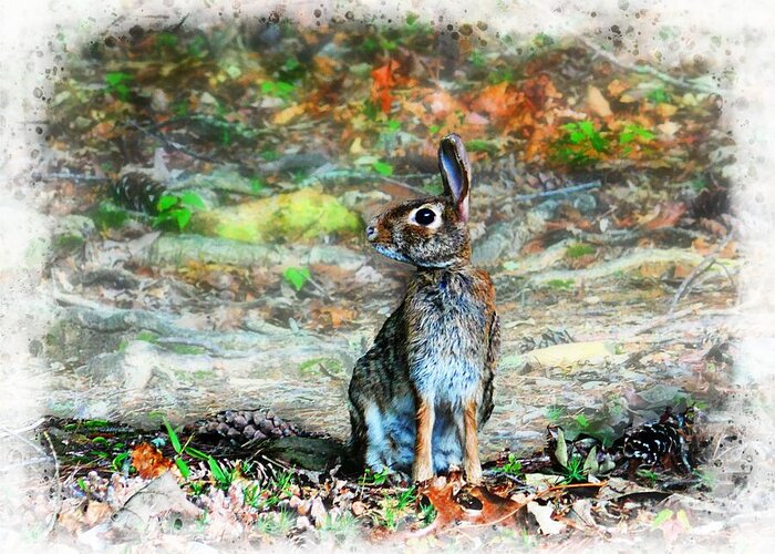 Cottontail Rabbit Greeting Card featuring the photograph Alert Cottontail by Joe Duket