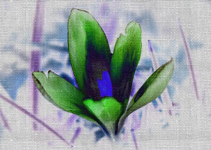 Crocus Greeting Card featuring the photograph Alien Crocus by Alison Frank
