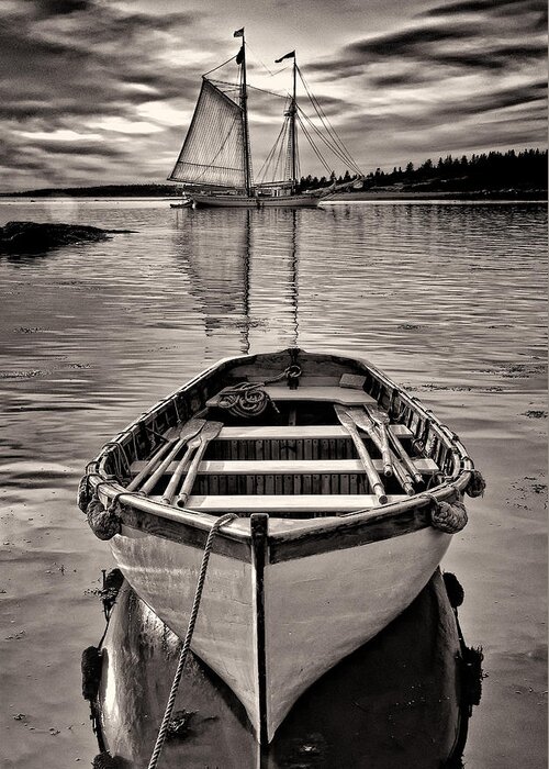 Black And White Greeting Card featuring the photograph All Ashore by Fred LeBlanc