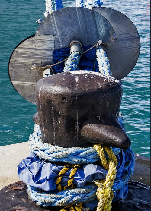 Rope Greeting Card featuring the photograph All Tied Up by Bob Slitzan