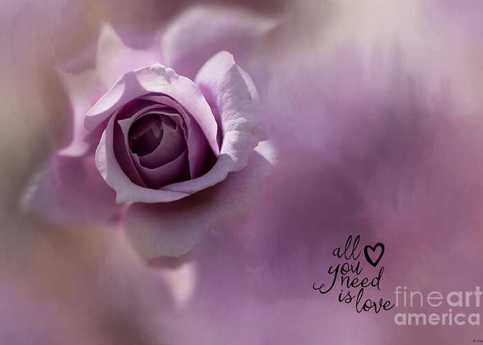 Rose Greeting Card featuring the photograph All You Need Is Love by Eva Lechner