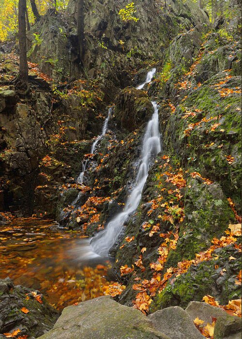 Waterfall Greeting Card featuring the photograph Along The Appalachian Trail by Stephen Vecchiotti