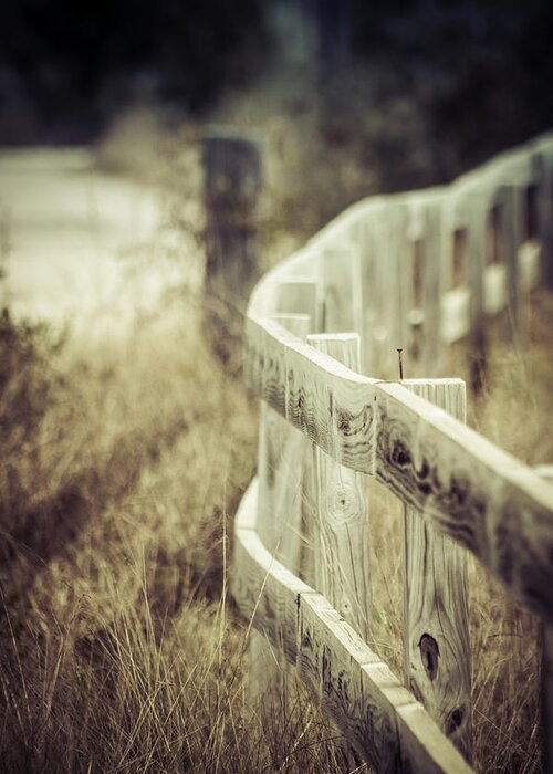 Fence Greeting Card featuring the photograph Along The Fence by Debra Forand