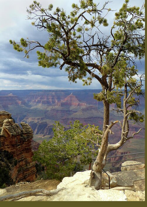 Beautiful Greeting Card featuring the photograph Along the Rim by Gordon Beck