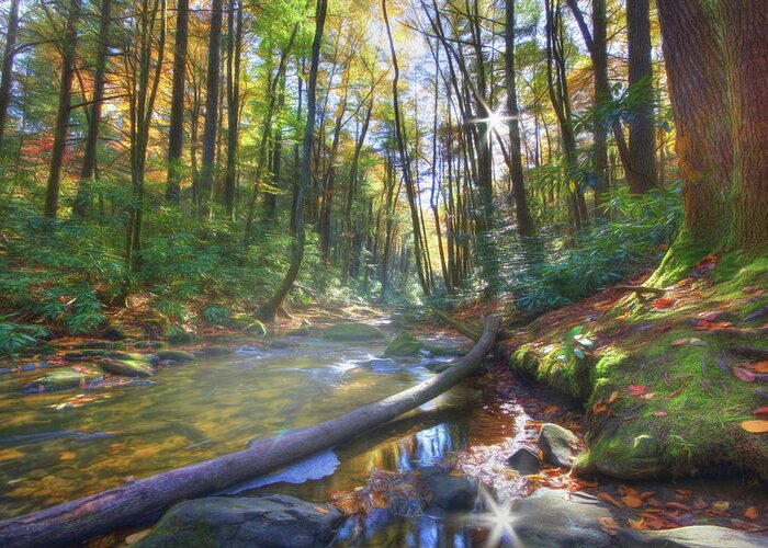 Landscape Greeting Card featuring the digital art Along the Trail in Georgia by Sharon Batdorf