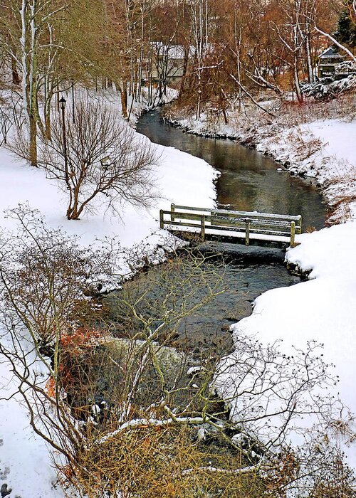 Town Brook Greeting Card featuring the photograph Along Town Brook Plymouth MA by Janice Drew