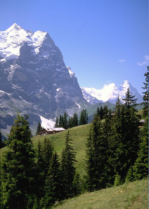 Alps Greeting Card featuring the photograph Alps by Flavia Westerwelle