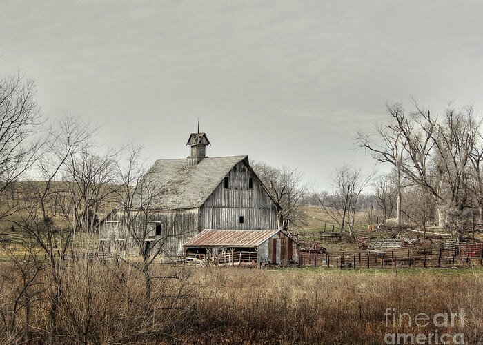 Barn Greeting Card featuring the photograph America by Thomas Danilovich