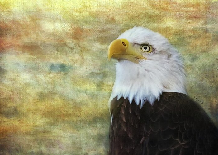 American Greeting Card featuring the photograph American Bald Eagle at Sunrise by Betty Denise