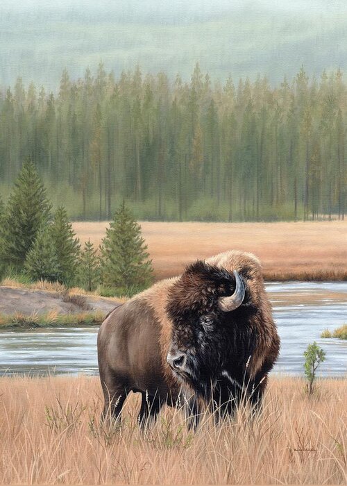 Bison Painting Greeting Card featuring the painting American Bison Oil Painting by Rachel Stribbling