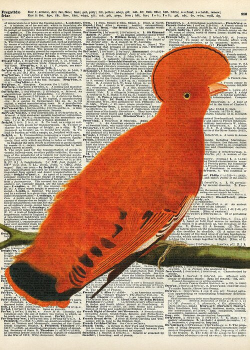 American Martinet Greeting Card featuring the painting American Martinet Orange Parrot bird by Anna W
