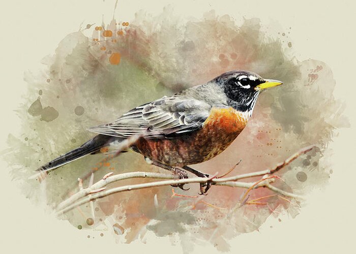 American Robin Greeting Card featuring the mixed media American Robin - Watercolor Art by Christina Rollo