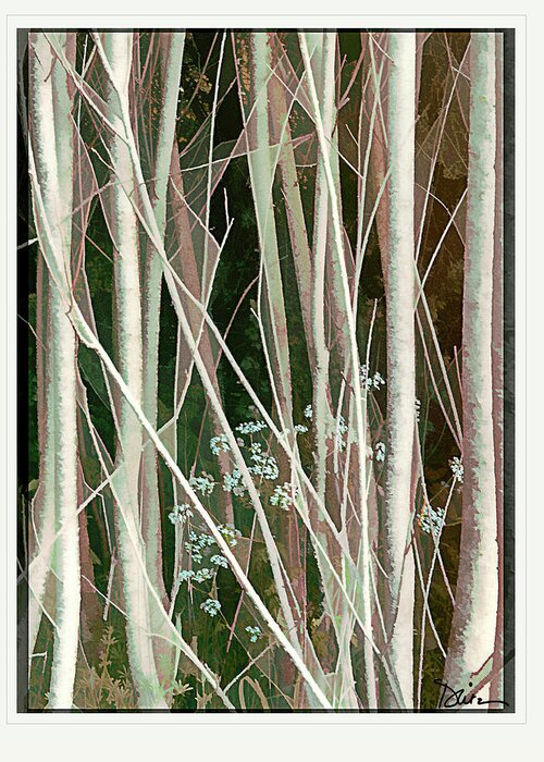 Forest Greeting Card featuring the photograph Amid the Forest by Peggy Dietz