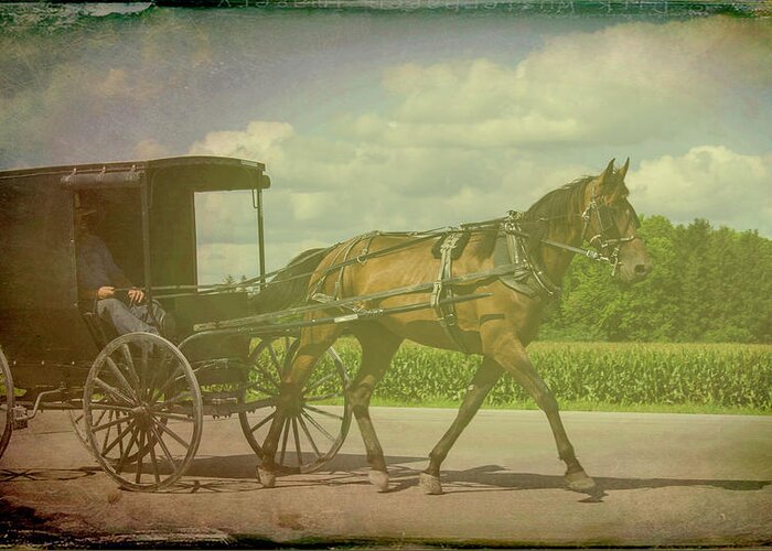 Amish Greeting Card featuring the photograph Amish Conveyance Color by Jim Cook