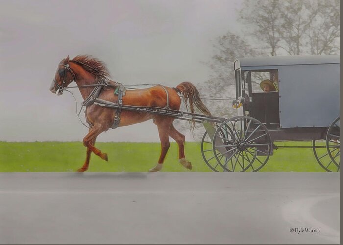  Greeting Card featuring the photograph Amish Sunday Ride by Dyle Warren