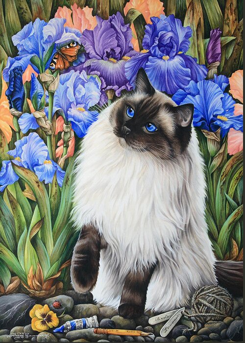 Ragdoll Greeting Card featuring the photograph Amongst The Irises by MGL Meiklejohn Graphics Licensing